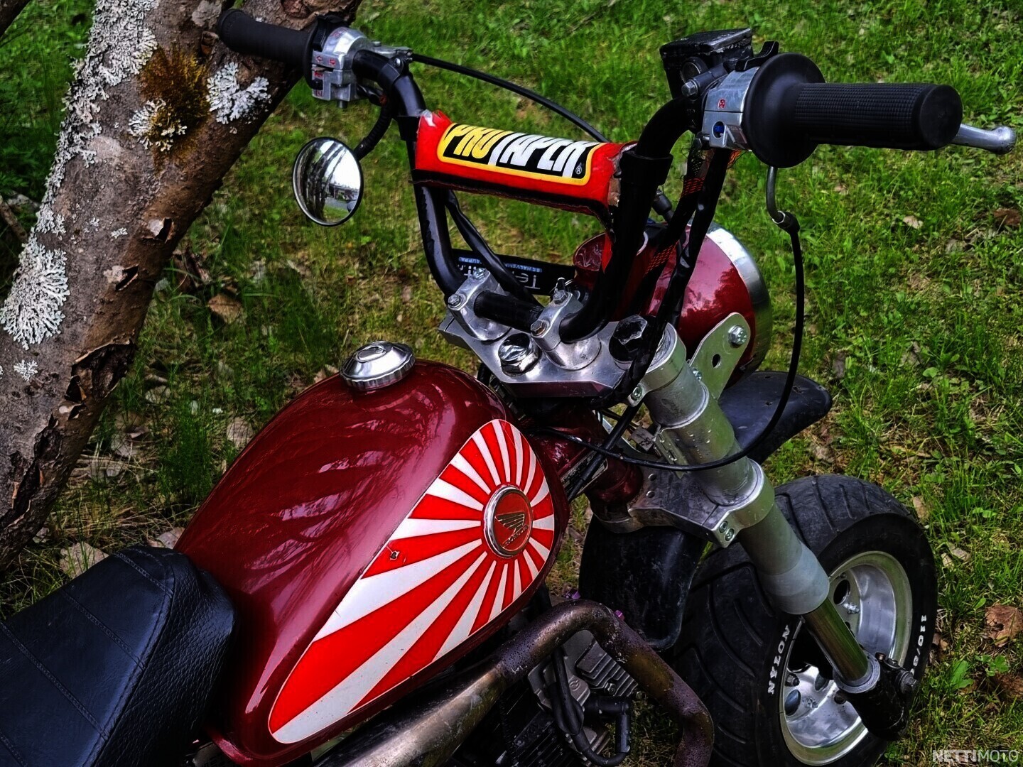 Honda Monkey