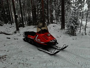 Lynx 520