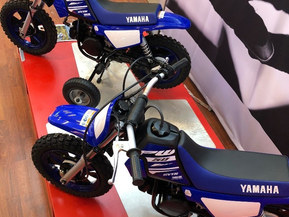 Yamaha PW