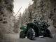 Yamaha Grizzly