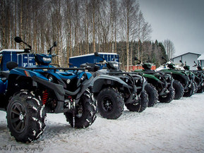 Yamaha Grizzly