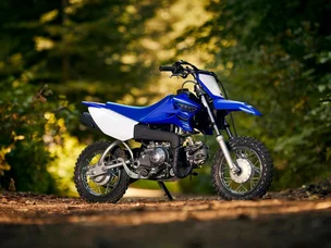 Yamaha TT-R