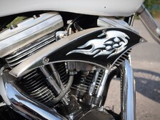 Harley-Davidson Softail