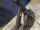 E-scooter -