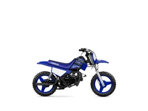 Yamaha PW