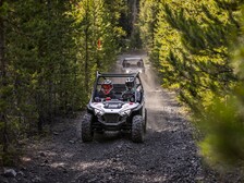 Polaris RZR