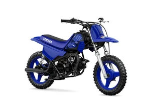 Yamaha PW