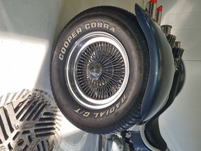 Harley-Davidson Muu malli