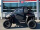 Polaris RZR