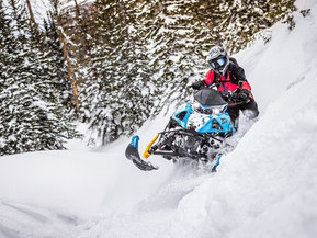 Arctic Cat Mountain Cat