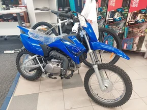 Yamaha TT-R