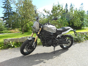 Benelli Leoncino