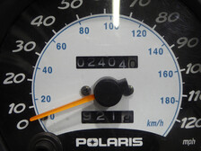 Polaris WideTrak LX