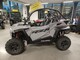 Polaris RZR