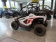 Polaris RZR