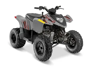 Polaris Phoenix