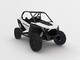 Polaris RZR