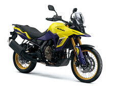 Suzuki DL