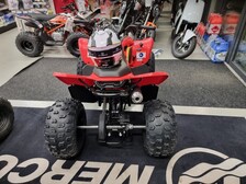 CFMOTO CFORCE