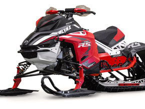 Lynx RS