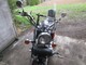 Honda Shadow