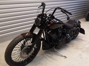 Harley-Davidson Softail