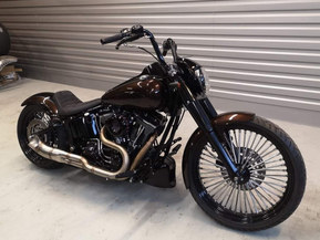 Harley-Davidson Softail