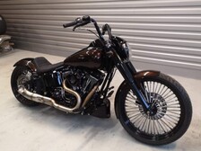 Harley-Davidson Softail