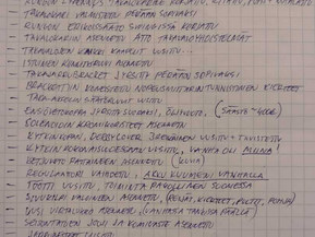 Harley-Davidson Softail