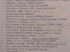 Harley-Davidson Softail