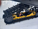 Ski-Doo Renegade