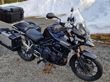 Myydään deals triumph tiger