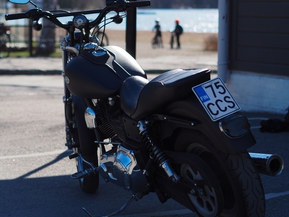 Harley-Davidson Dyna