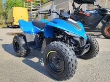 CFMOTO CFORCE