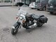 Harley-Davidson Softail