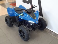 CFMOTO CFORCE