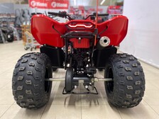 CFMOTO CFORCE