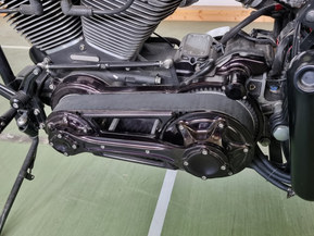 Harley-Davidson Softail