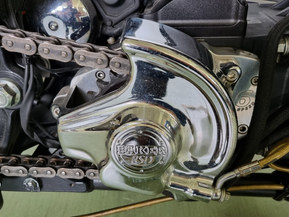 Harley-Davidson Softail