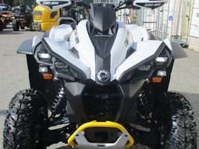Can-Am renegade