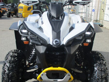Can-Am renegade