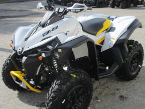 Can-Am renegade