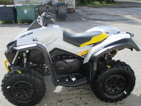 Can-Am renegade