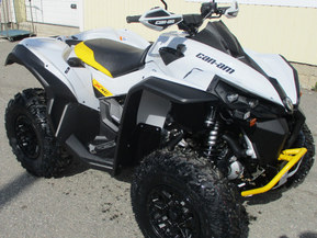 Can-Am renegade