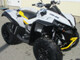Can-Am renegade