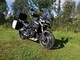 Triumph Tiger