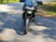 Triumph Tiger