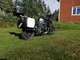 Triumph Tiger