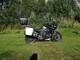 Triumph Tiger