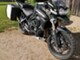 Triumph Tiger